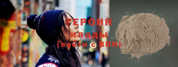 индика Арсеньев