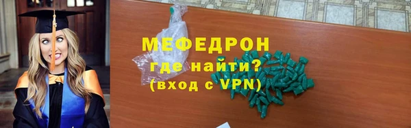 индика Арсеньев