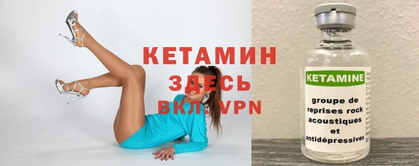индика Арсеньев
