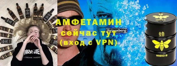 индика Арсеньев