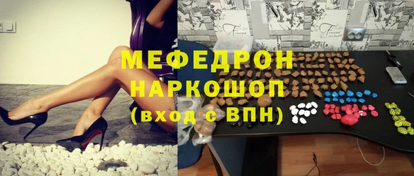 индика Арсеньев