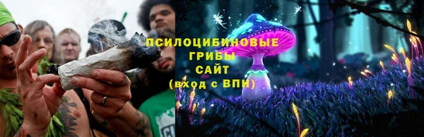 трава Армянск