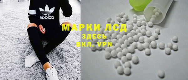 индика Арсеньев