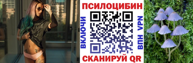 купить наркотики цена  Озёрск  Псилоцибиновые грибы Magic Shrooms 